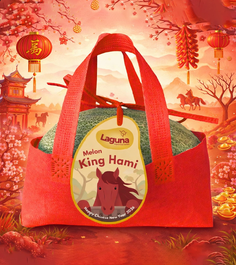 Chinese New Year products